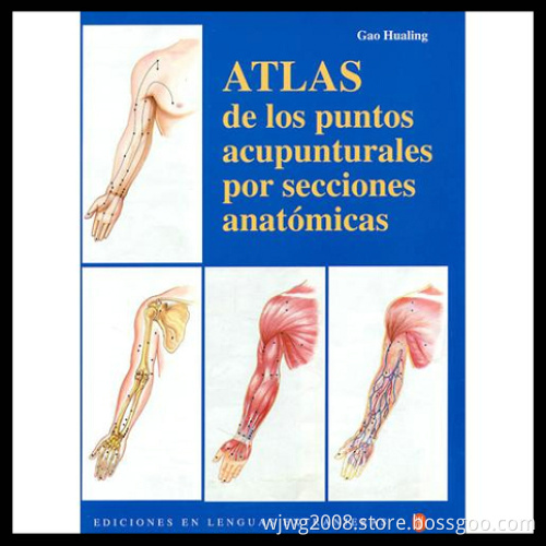 Atlas De Los Puntos Acupunturales Por Secciones Anatomicas V-12